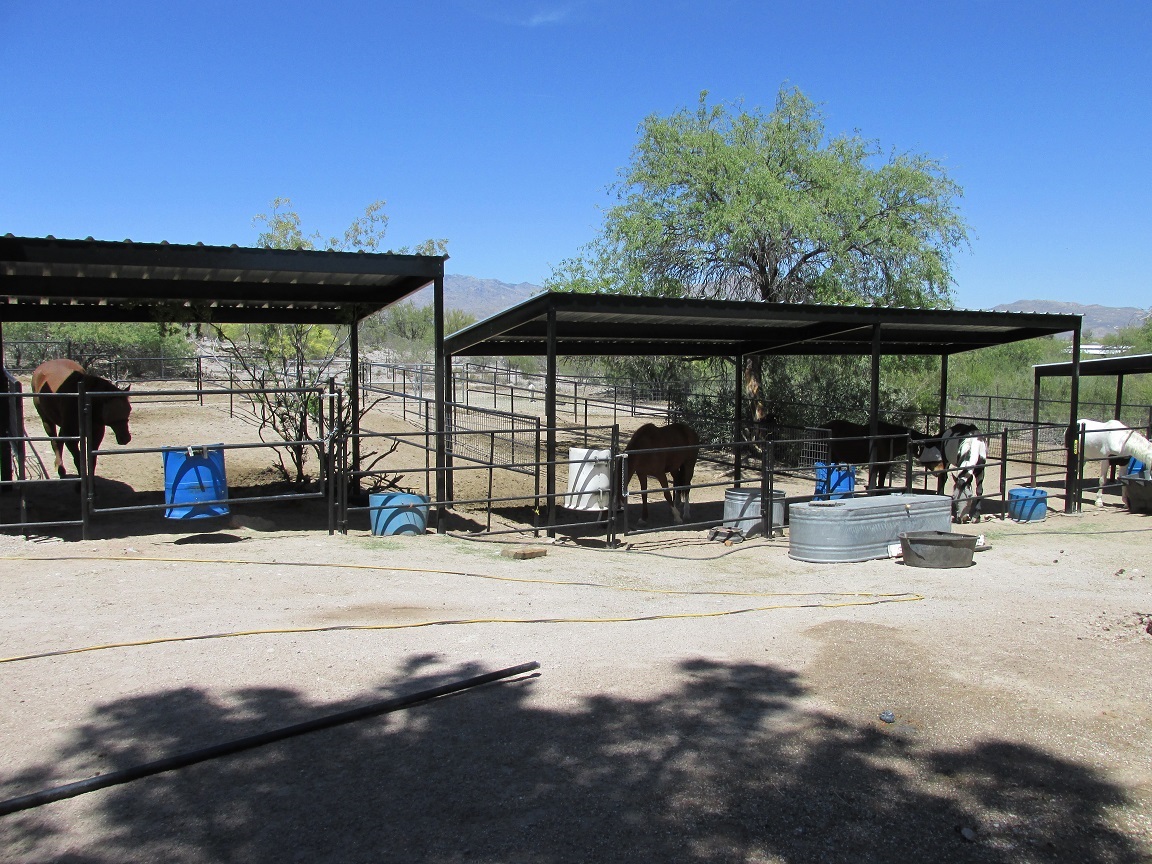 AZ Pet Kennels For Sale Phoenix Dog Runs Installed, Horse Shade, Stalls,