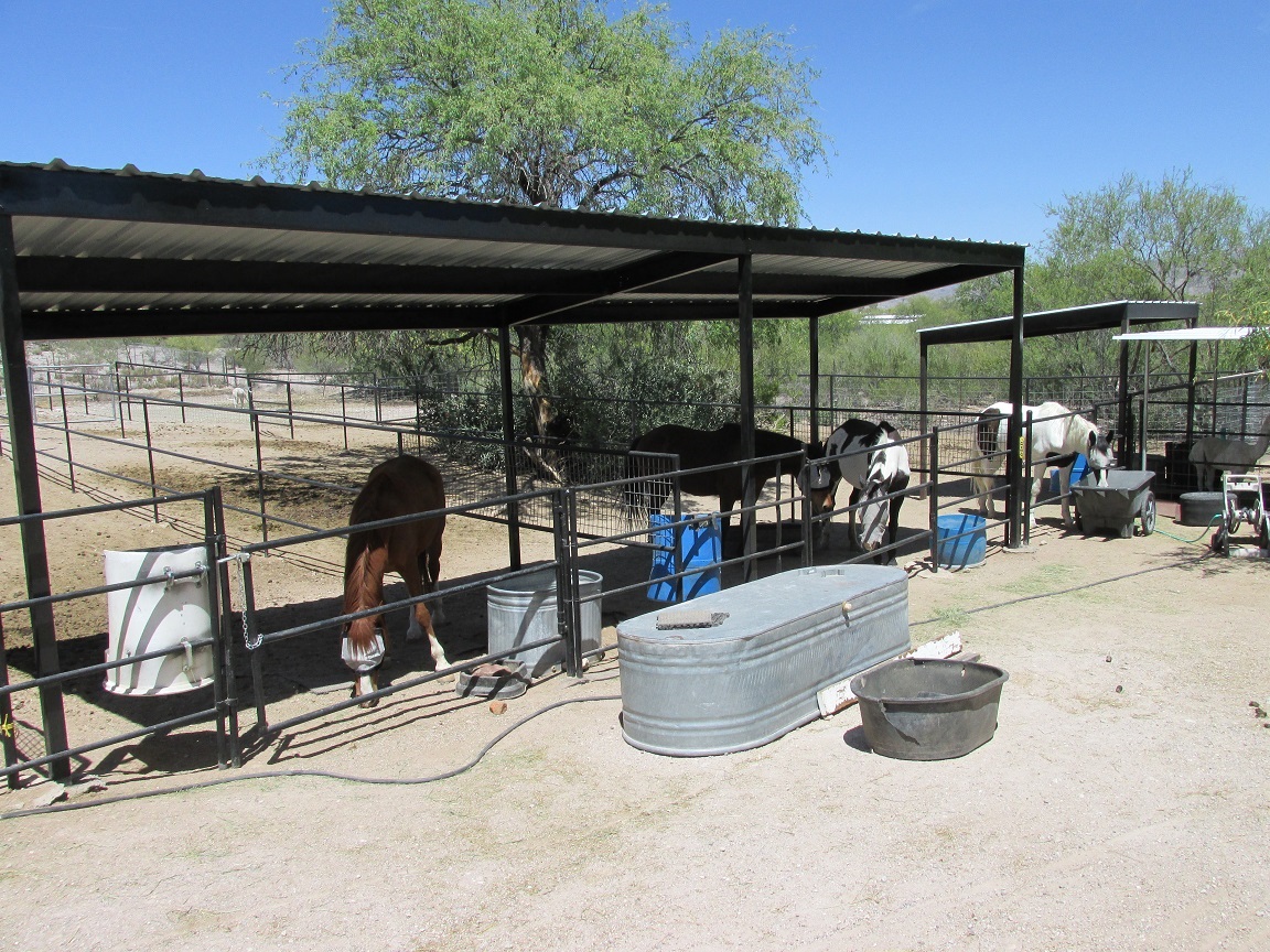 10 Foot By 30 Foot Horse Shade For Sale 