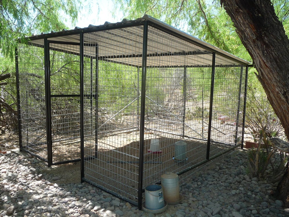 Home Page North Phoenix Dog Kennels Installation 