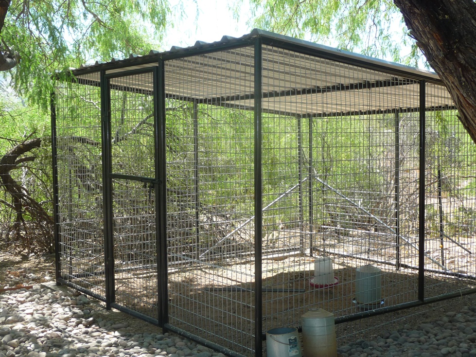 Large Bird Aviaries For Sale in Arizona