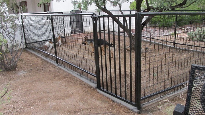 best dogs to run with az best run companies arizona custom built runs installation best dogs to run with az best run companies arizona custom built runs installation