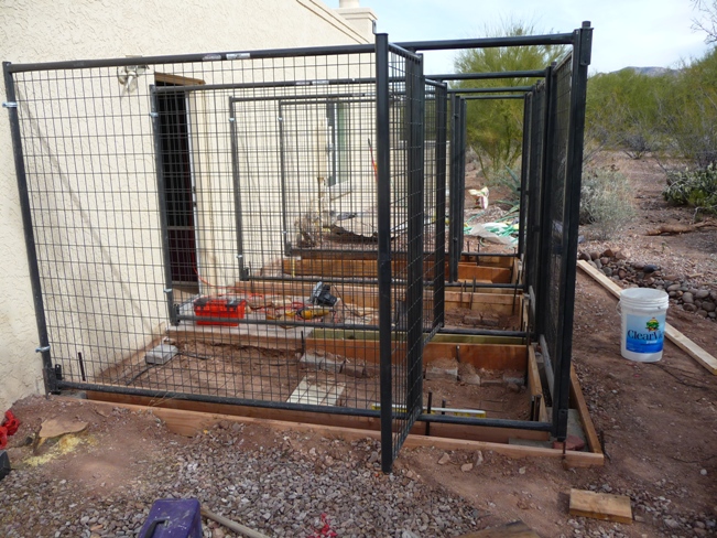 dog door to outside kennel