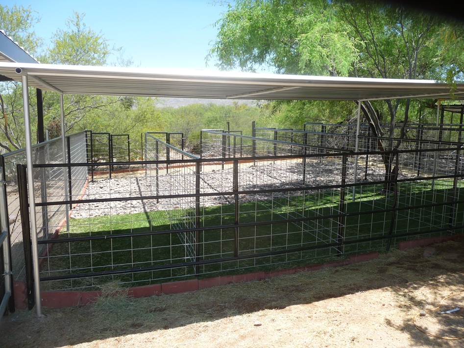 Dog run shop installation near me