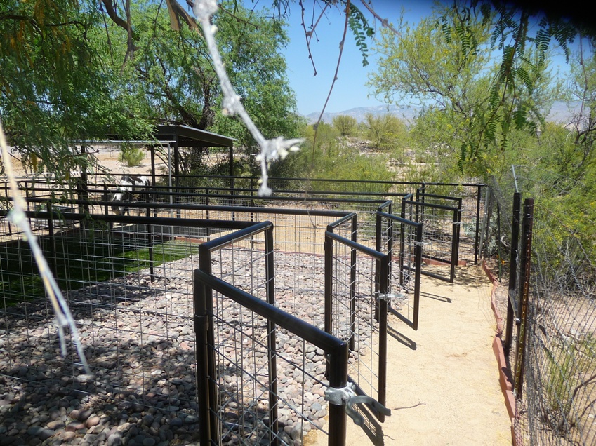 Phoenix Dog Run Installers