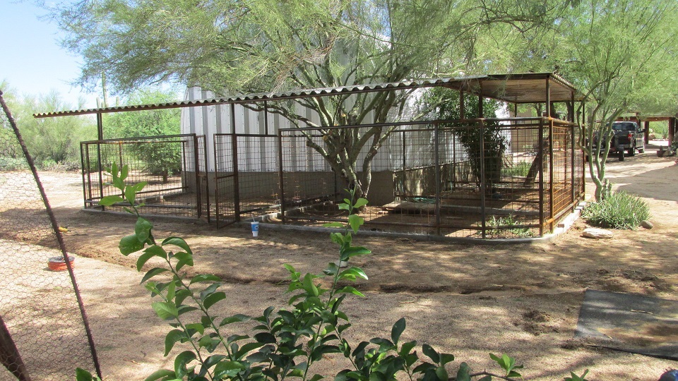 Arizona Snake Proof Dog Kennels.