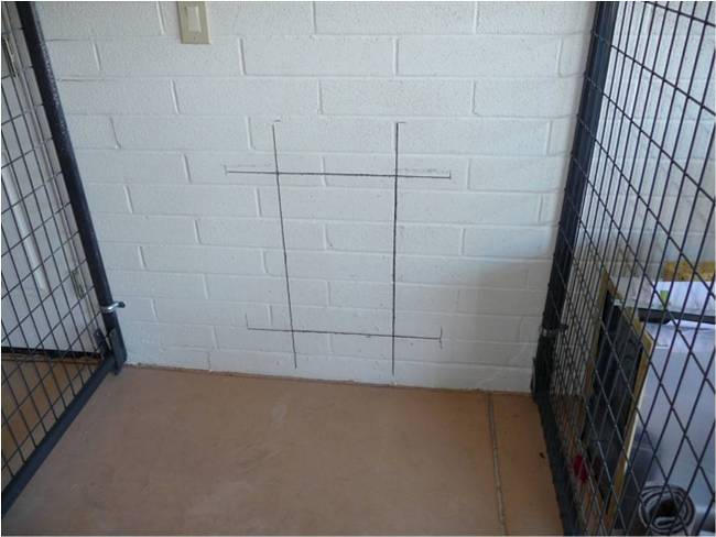 Interior Dog Kennels