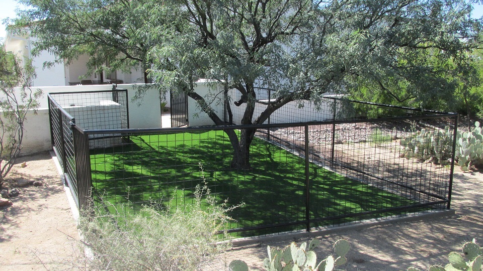 Pet Safe Dog Kennels in Phoenix Arizona