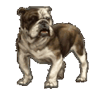 dog houses for sale